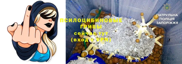 дурь Балахна
